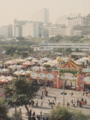 Agricultural Carnival in 1993