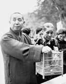 A leading monk releasing caged birds as a symbolic act that good thoughts produce good results, 1963