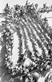 Long queue at a public standpipe, 1963