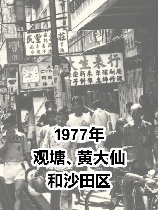 1977年观塘、黄大仙和沙田区