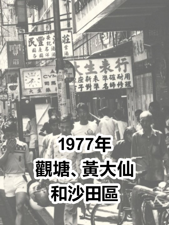 1977年觀塘、黃大仙和沙田區