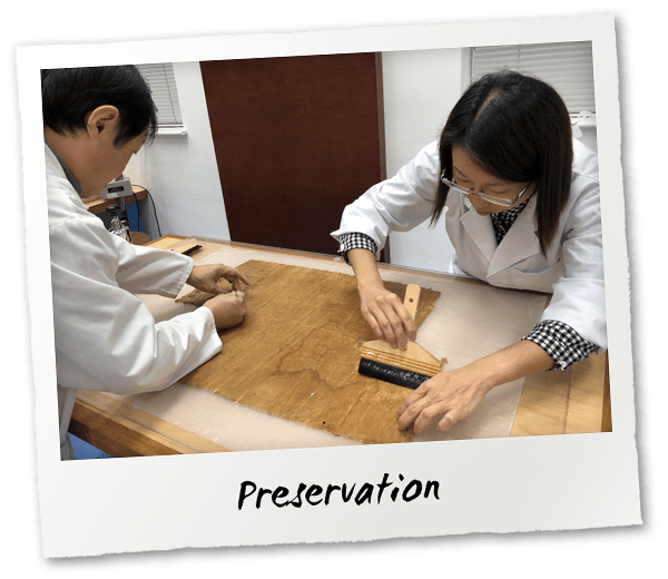 Preservation