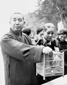 僧侶放生雀鳥祈求降雨，1963年
