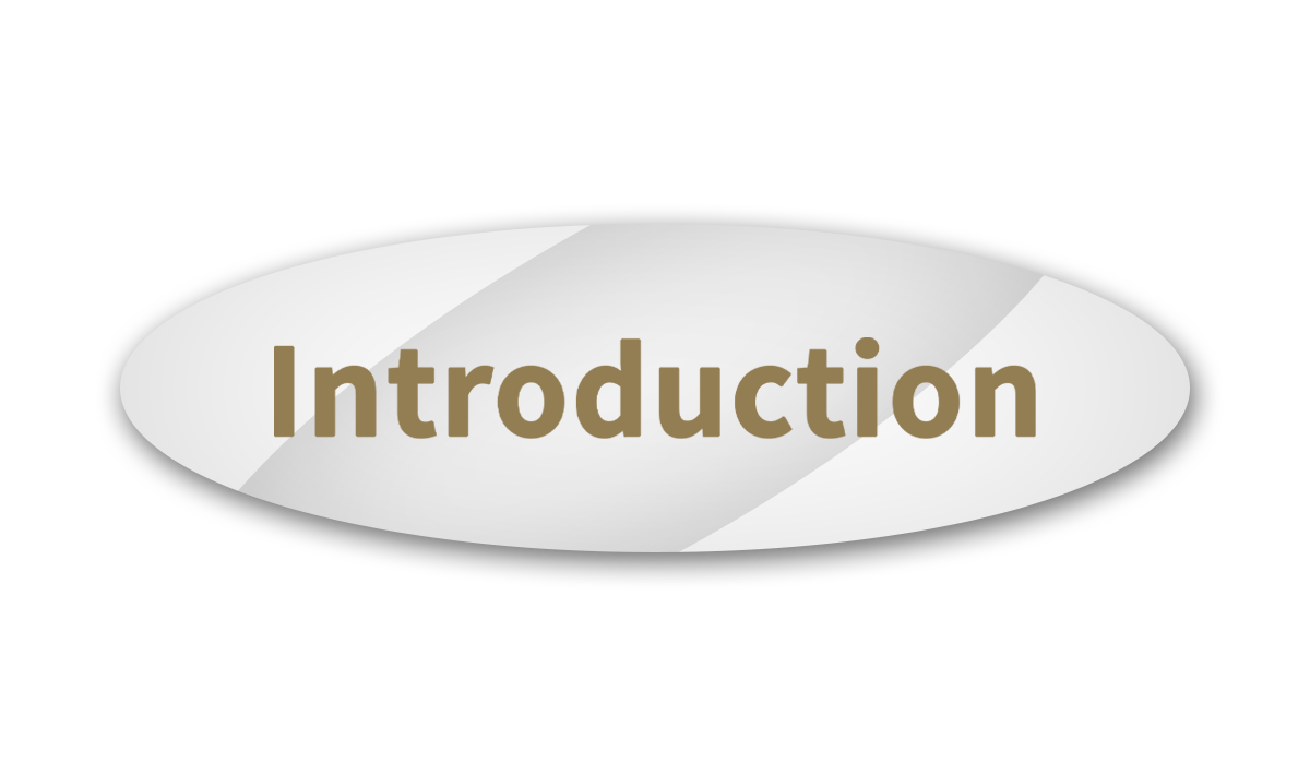 Introduction