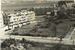 Illegal cultivation covered nearly an acre of Crown Land in Hung Hom, April 1955. 